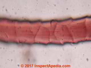Wool or sheep hair under the microscope (C) Daniel Friedman InspectApedia.com